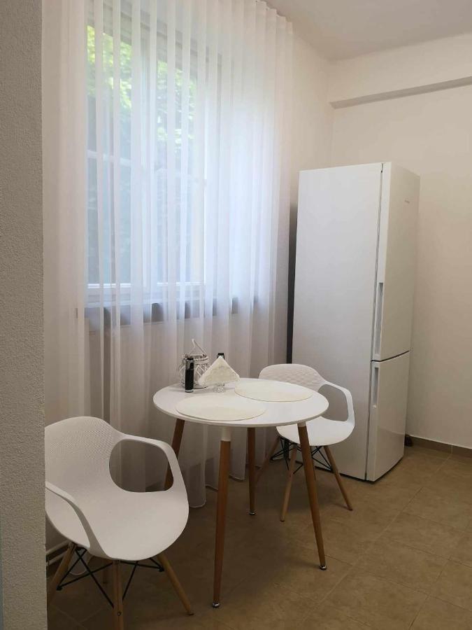 Apartman Dlouha 207 Litomerice Exterior foto